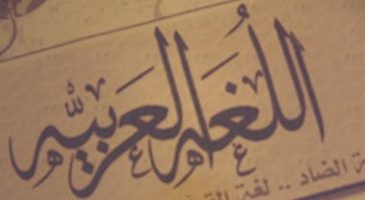 مركز أبو ظبى ينظم ندوة احتفالا باليوم العالمى للغة العربية بمشاركة صلاح فضل
